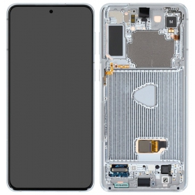 Samsung Galaxy S21+ scherm (zilverachtig) (met een frame) (origineel)